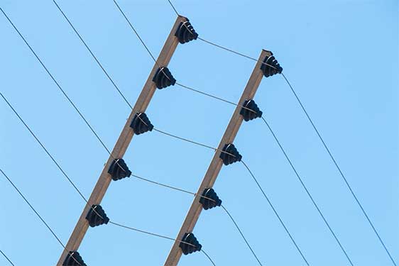 ElectricFence_SecurityMadeEasy.jpg